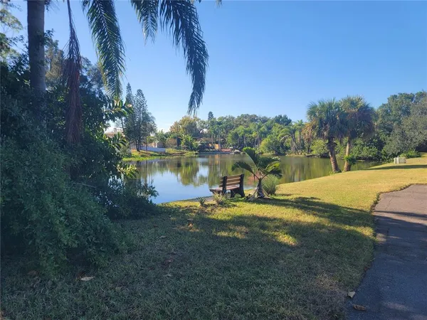 a view of a swimming pool with a yard