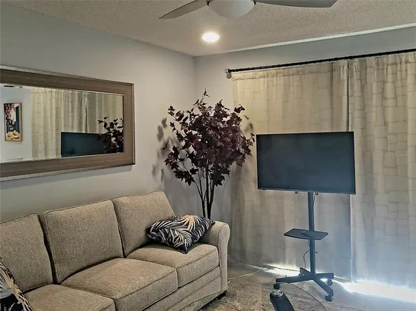 a living room with furniture and a potted plant