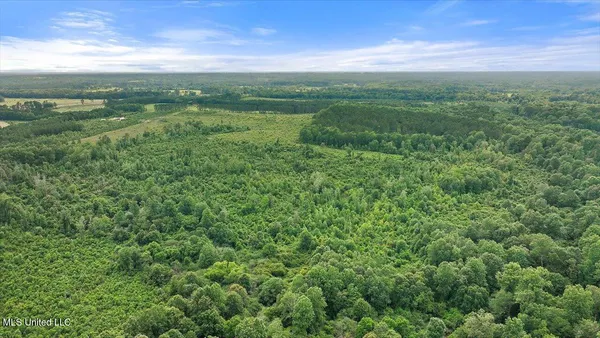 $450,000 | Undisclosed Address, Mize, MS 39116