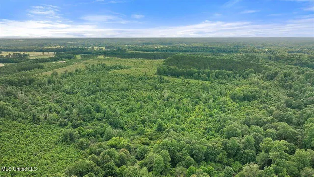 $450,000 | Undisclosed Address, Mize, MS 39116