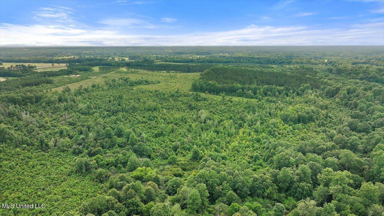 Undisclosed Address Mize, MS 39116 - Photo 1 of 69 01-SCR 73-A