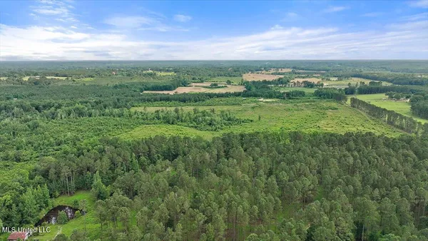 $450,000 | Undisclosed Address, Mize, MS 39116