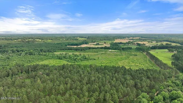 $450,000 | Undisclosed Address, Mize, MS 39116