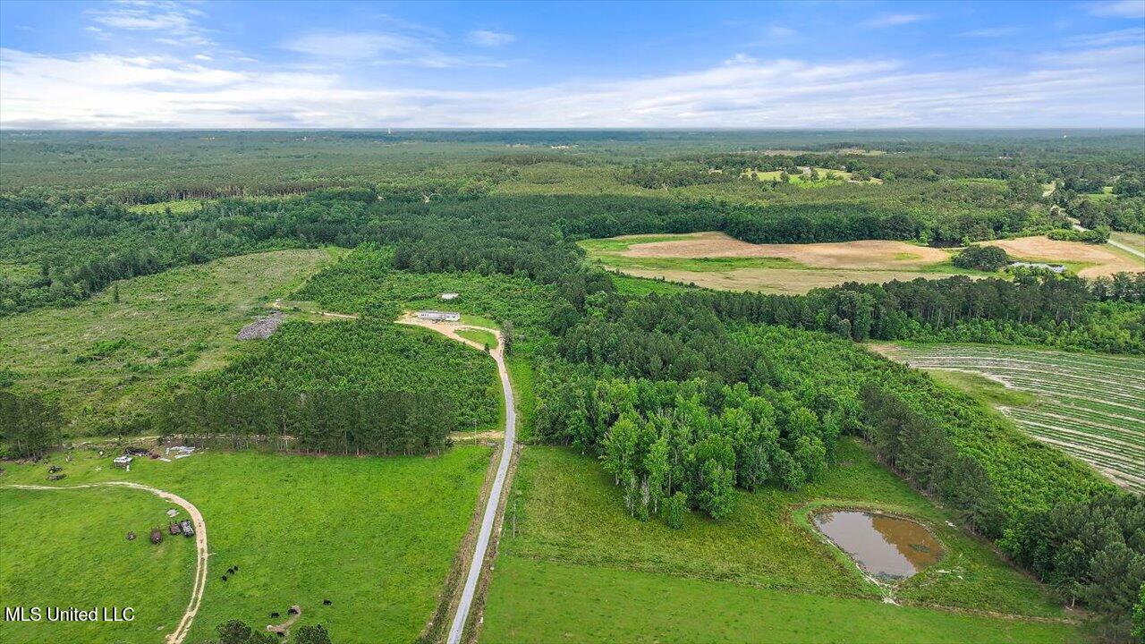 Undisclosed Address Mize, MS 39116 - Photo 18 of 69 18-SCR 73-A