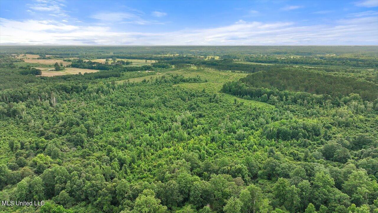 Undisclosed Address Mize, MS 39116 - Photo 2 of 69 02-SCR 73-A