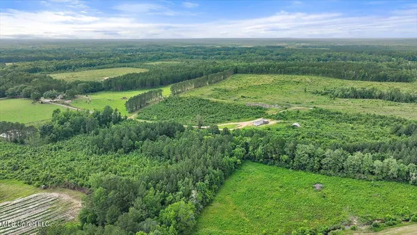 $450,000 | Undisclosed Address, Mize, MS 39116