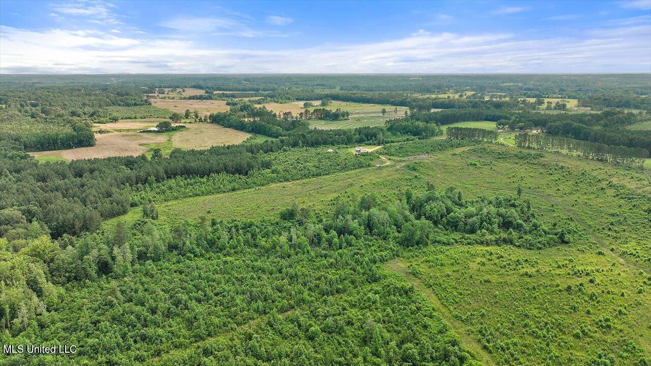 Undisclosed Address Mize, MS 39116 - Photo 27 of 69 27-SCR 73-A