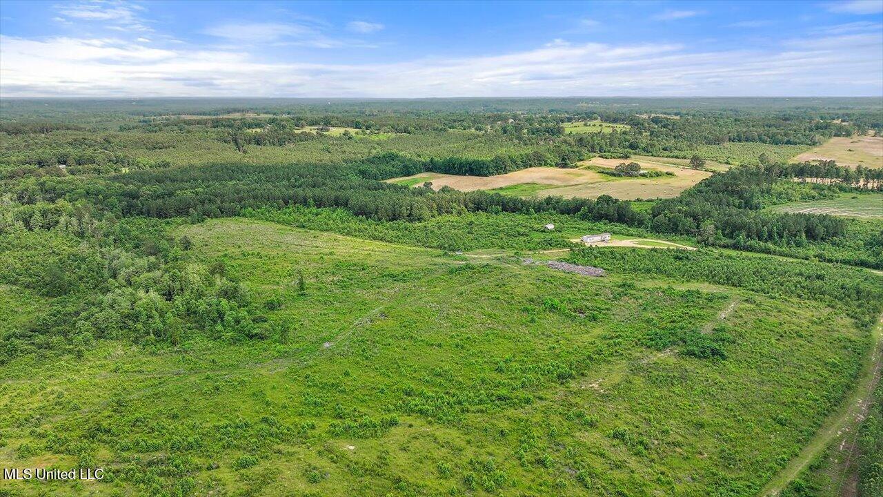 Undisclosed Address Mize, MS 39116 - Photo 29 of 69 29-SCR 73-A