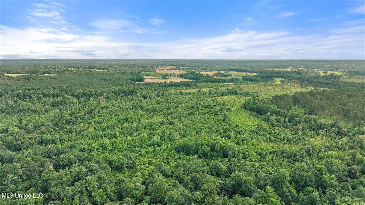 Undisclosed Address Mize, MS 39116 - Photo 3 of 69 03-SCR 73-A