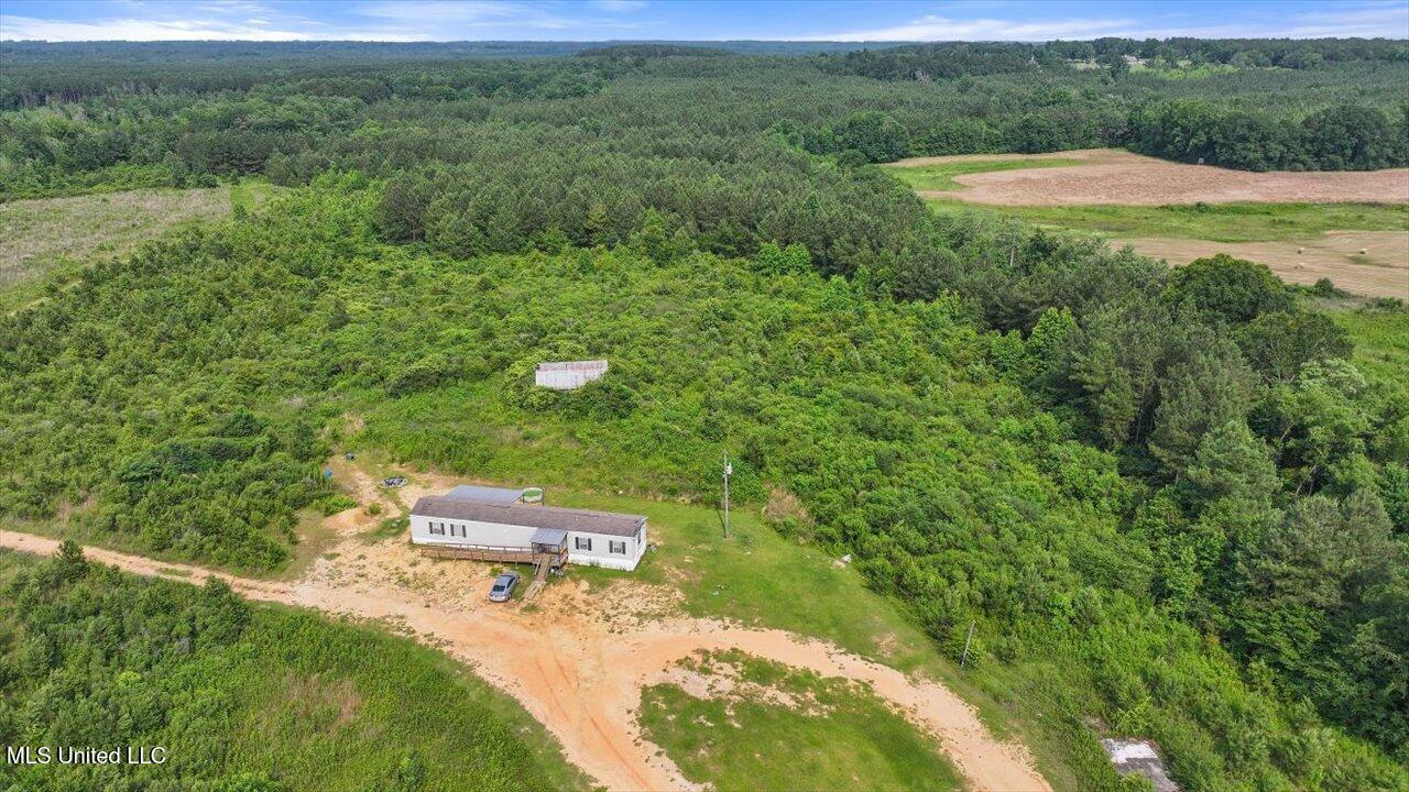 Undisclosed Address Mize, MS 39116 - Photo 40 of 69 40-SCR 73-A