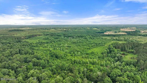 $450,000 | Undisclosed Address, Mize, MS 39116