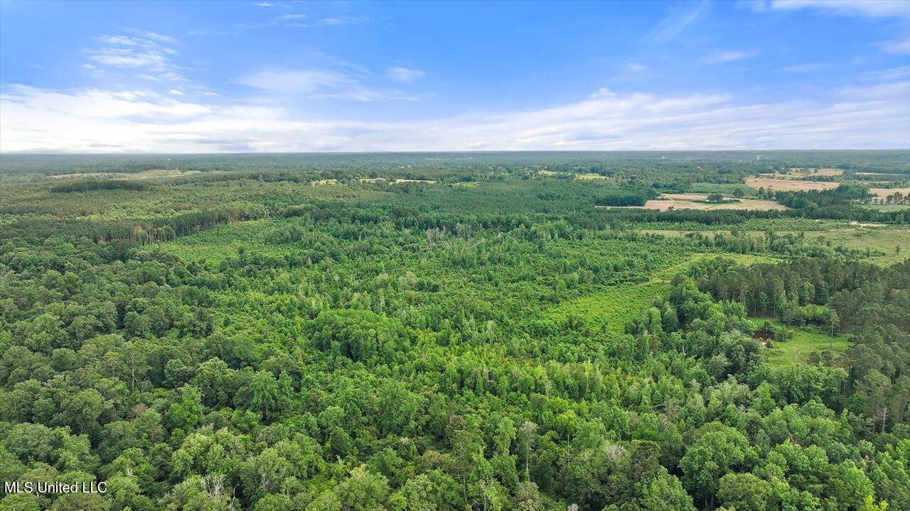 Undisclosed Address Mize, MS 39116 - Photo 4 of 69 04-SCR 73-A