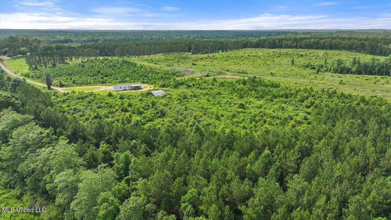 Undisclosed Address Mize, MS 39116 - Photo 41 of 69 42-SCR 73-A