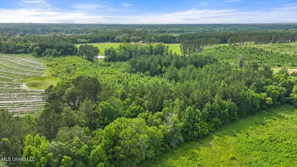 $450,000 | Undisclosed Address, Mize, MS 39116