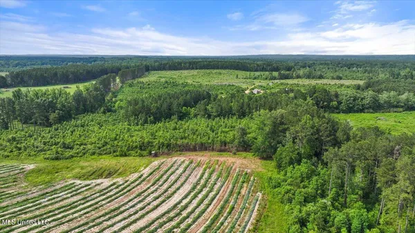 $450,000 | Undisclosed Address, Mize, MS 39116