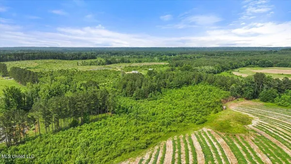 $450,000 | Undisclosed Address, Mize, MS 39116