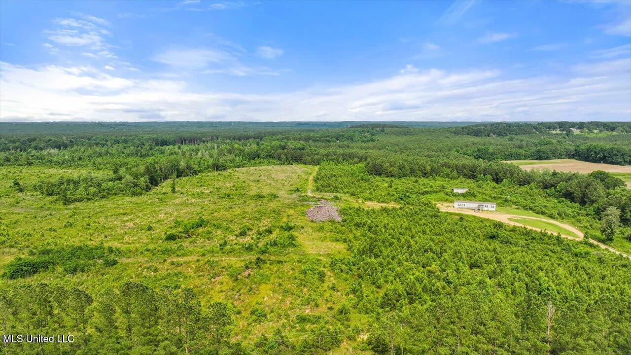 Undisclosed Address Mize, MS 39116 - Photo 48 of 69 49-SCR 73-A