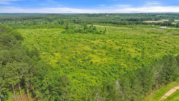 $450,000 | Undisclosed Address, Mize, MS 39116