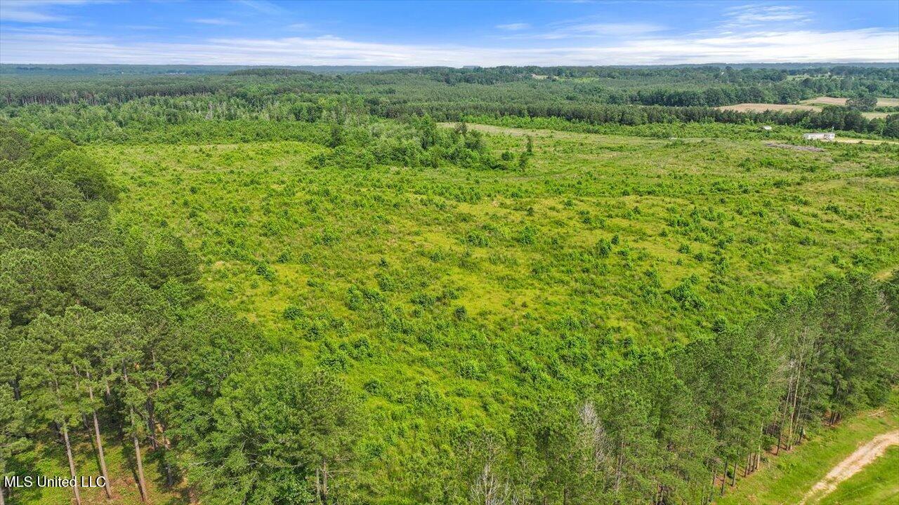 Undisclosed Address Mize, MS 39116 - Photo 50 of 69 51-SCR 73-A