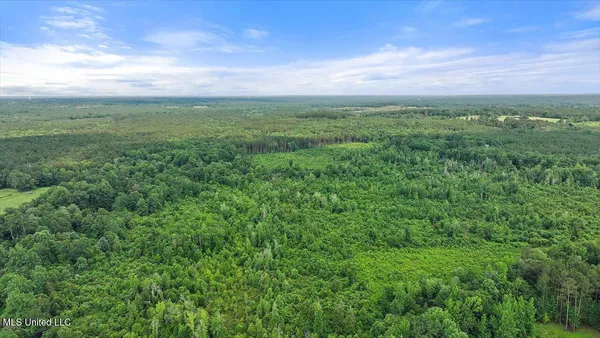 $450,000 | Undisclosed Address, Mize, MS 39116