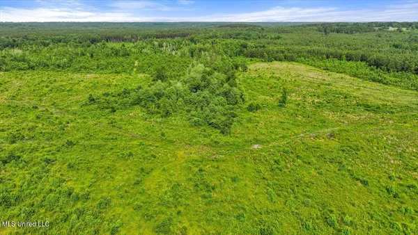 $450,000 | Undisclosed Address, Mize, MS 39116