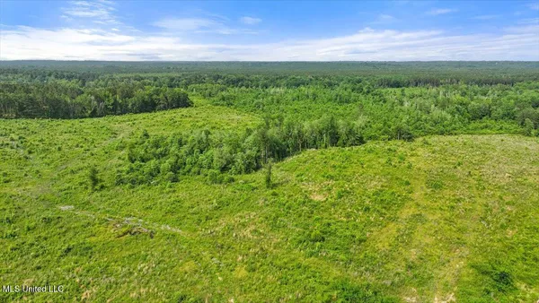 $450,000 | Undisclosed Address, Mize, MS 39116