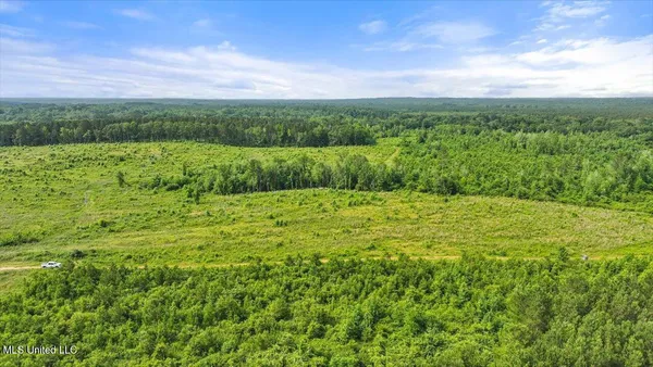 $450,000 | Undisclosed Address, Mize, MS 39116