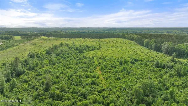 $450,000 | Undisclosed Address, Mize, MS 39116