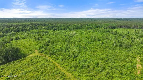 $450,000 | Undisclosed Address, Mize, MS 39116