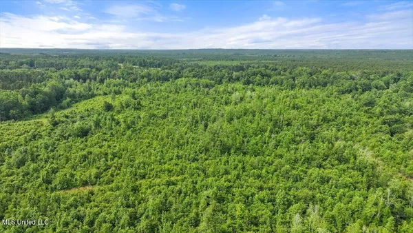 $450,000 | Undisclosed Address, Mize, MS 39116