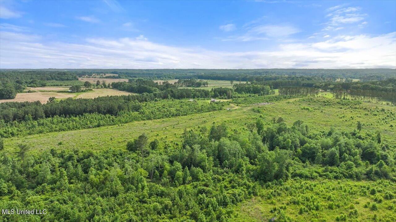 Undisclosed Address Mize, MS 39116 - Photo 64 of 69 65-SCR 73-A