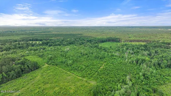 $450,000 | Undisclosed Address, Mize, MS 39116