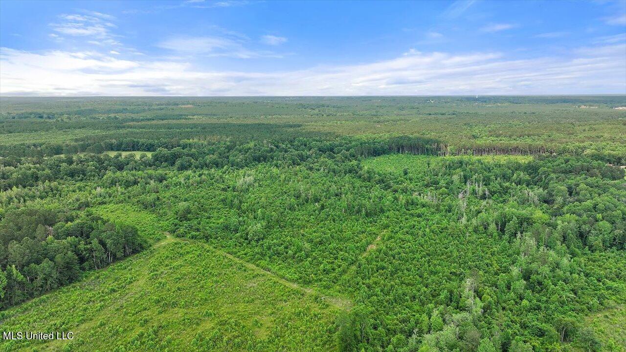 Undisclosed Address Mize, MS 39116 - Photo 7 of 69 07-SCR 73-A