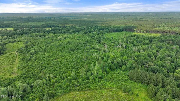 $450,000 | Undisclosed Address, Mize, MS 39116