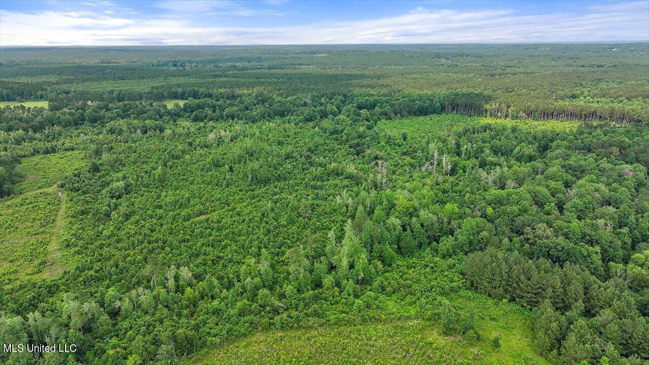 Undisclosed Address Mize, MS 39116 - Photo 8 of 69 08-SCR 73-A