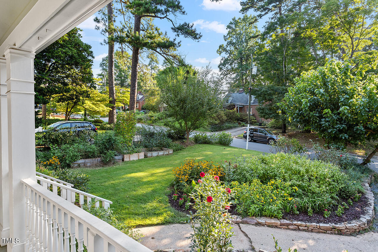 1607 Lorraine Road Raleigh, NC 27607 - Photo 37 of 37 a view of a garden with plants and large trees