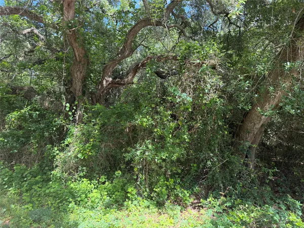 $6,000 | Lot 529 Grand Oak Street, Palacios, TX 77465