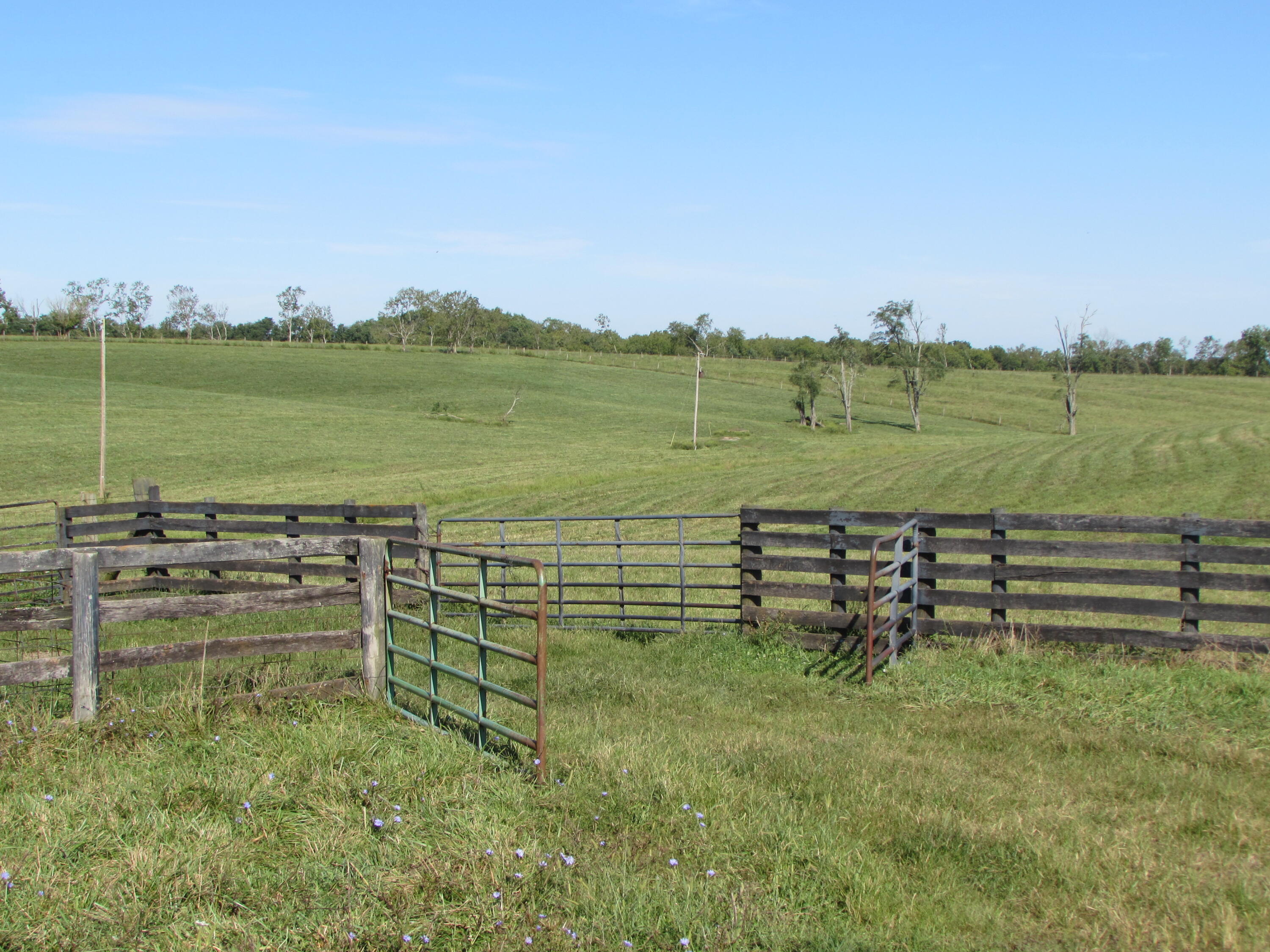 498 Ardery Road Paris, KY 40361 - Photo 8 of 11 IMG_0530