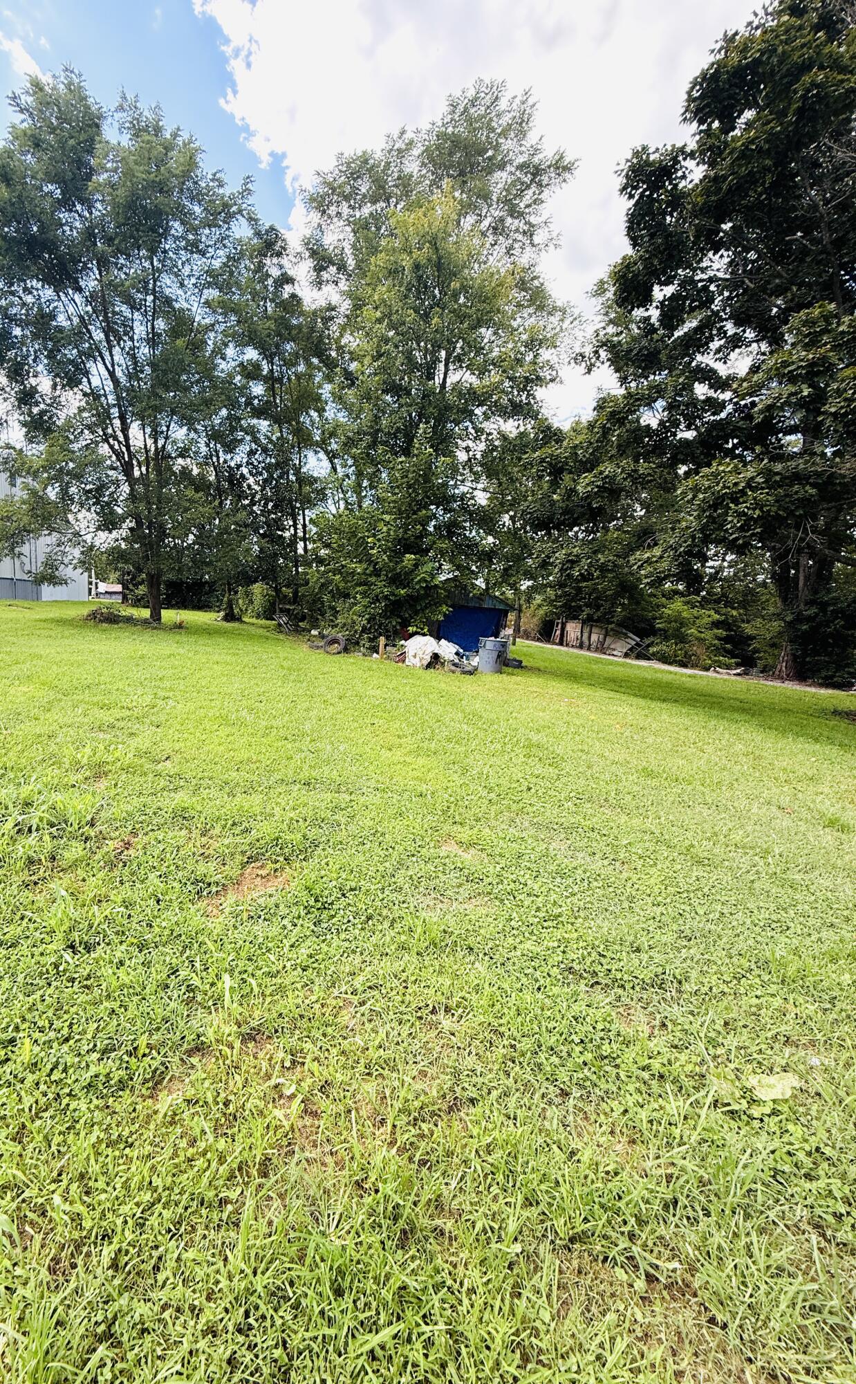 540 Bondville Road Salvisa, KY 40372 - Photo 10 of 20 IMG_5502