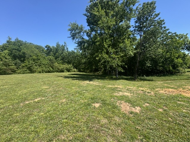 149 Horseshoe Bend Road Linden, TN 37096 - Photo 23 of 45