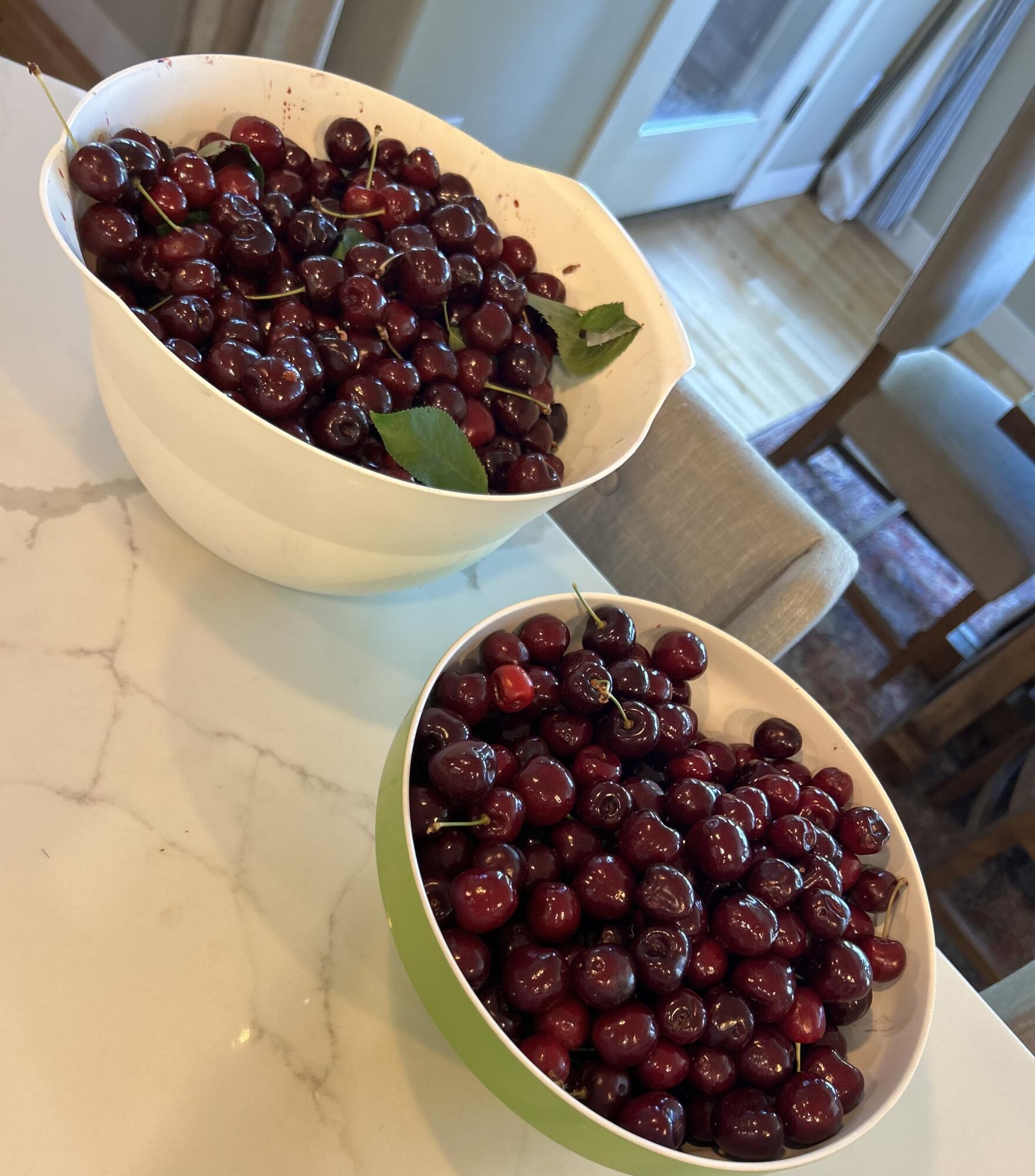 61878 Fall Creek Loop Bend, OR 97702 - Photo 30 of 49 Cherries from cherry treen in backyard