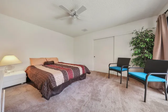 a spacious bedroom with a bed a chair and potted plant on the table