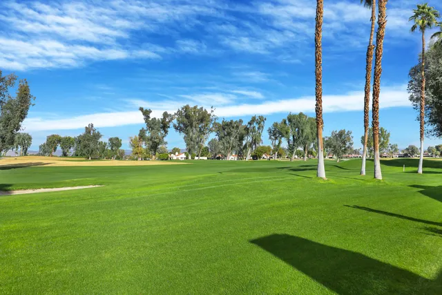 a view of field with tall trees