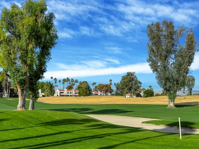 a view of a golf course with a trees