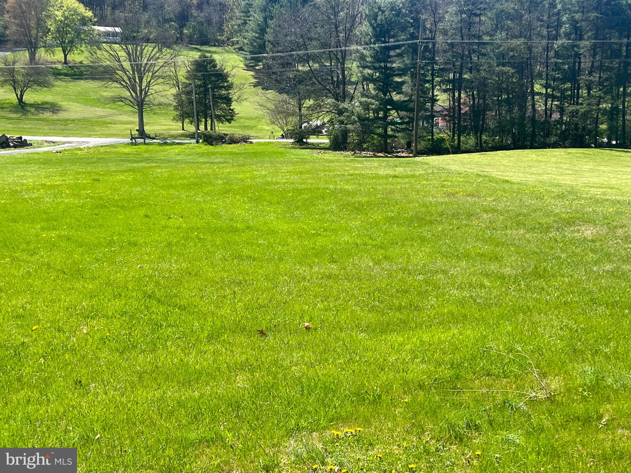 Front yard