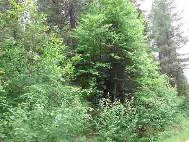 197-xx East Elliot Road Mead, WA 99021 - Photo 3 of 6