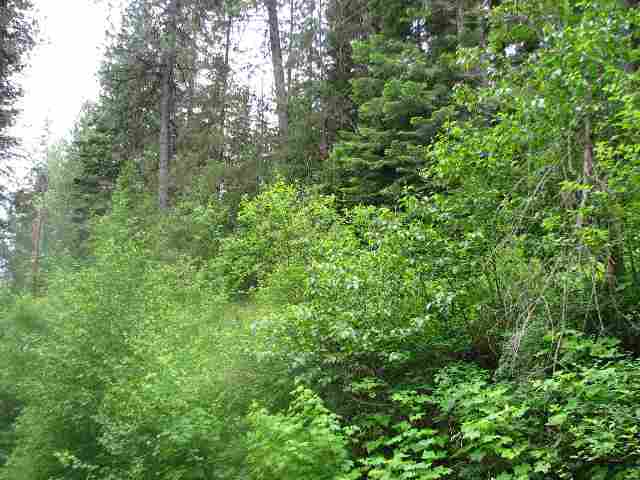 197-xx East Elliot Road Mead, WA 99021 - Photo 4 of 6