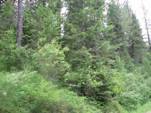 197-xx East Elliot Road Mead, WA 99021 - Photo 6 of 6