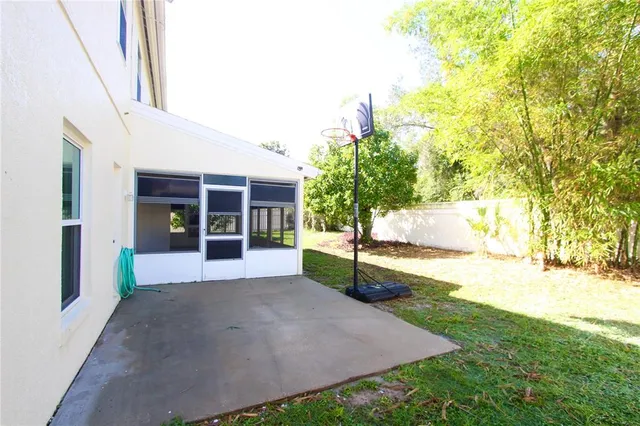 a view of a yard with plants and tree