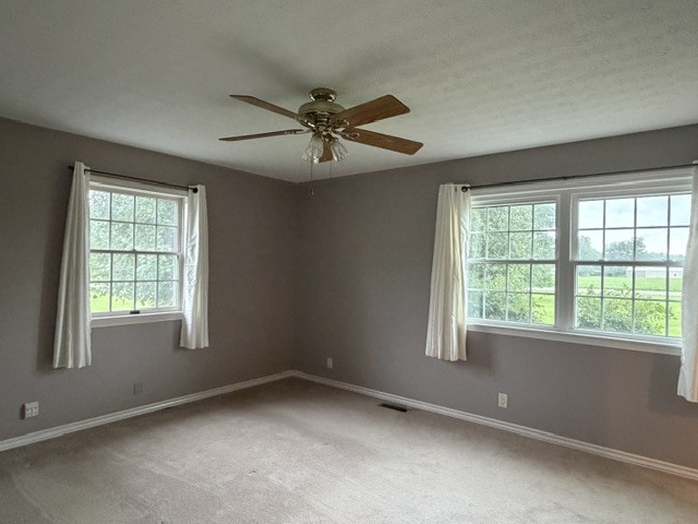 11426 East Radisson Road Mount Vernon, IL 62864 - Photo 19 of 56